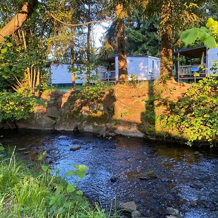 S-Chalet Camping Mit Comfort Im Schwarzwald Steinach  외부 사진